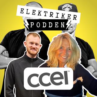 ELEKTRIKERPODDEN