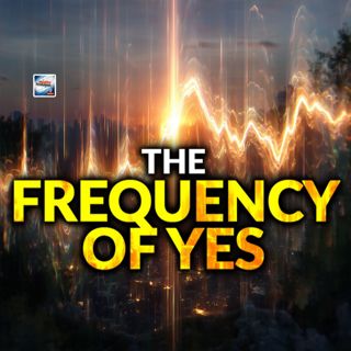 The Frequency Of Yes