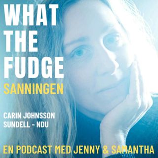 W32. Carin Johnsson Sundell - NDU - Fick en massiv hjärnblödning och sprängdes ut i Universum med en känsla av att vara en del av hela skapelsen
