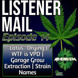 Drying Cannabis in Extreme Heat, VPD at 6.5 KPa, Perpetual Grow Tents, High Snacks, Breeding Names & Island Survival | Listener Mail #14
