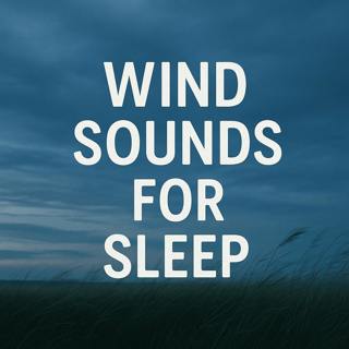 Wind Sounds for Sleep