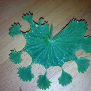 Vintern är här - dags att sätta
hela Naturpanelen på det hala!