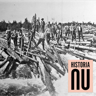 När Norrlands gröna guld flottades ut