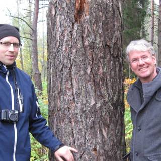Jord för alla sinnen och timmerlagrets blommor