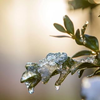 Rain and Sleet - 10 Hours Sleep Sound