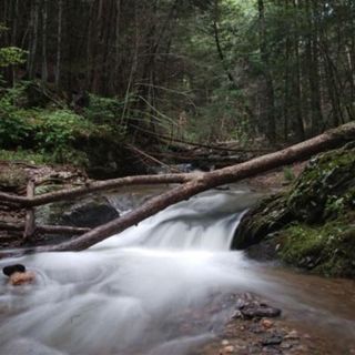 Maryland Forest Waterfall - 10 Hours Sleep Sound