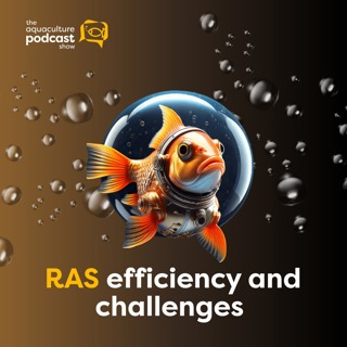 RAS efficiency and challenges | Ep. 29
