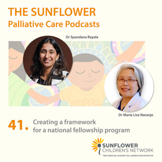 41. Creating a framework for a national fellowship program