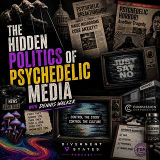 The Hidden Politics of Psychedelic Media | Dennis Walker
