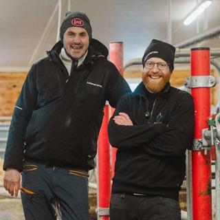 Effektiv melkeproduksjon og god dyrevelferd i Vingelen