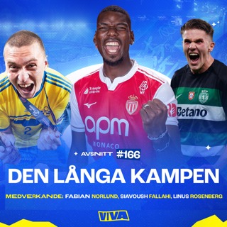#166 - Den långa kampen
