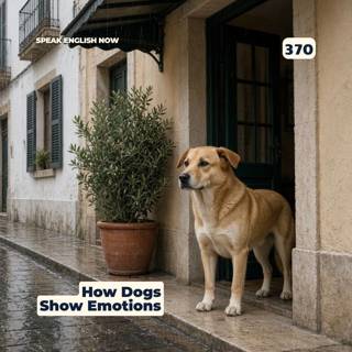 #370 How Dogs Communicate Emotions Without Words