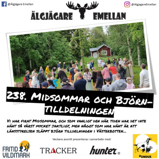 238. Midsommar & Björn-tilldelningen