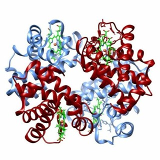 Watts Doc #21: VO2max and The Most Interesting Protein In The World