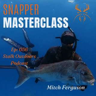 Spearfishing Snapper Tips & Tricks | MITCH FERGUSON