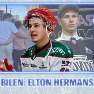748. Hockeybilen: Elton Hermansson