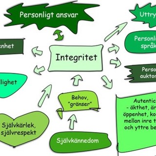 276 Integritet, tänk till…