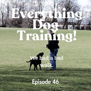Episode 46 - we had a bad walk
