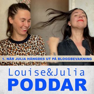 1. När Julia hängdes ut på Bloggbevakning