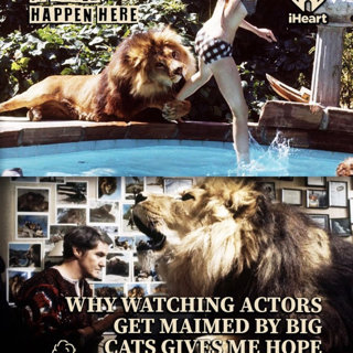 Why Watching Actors Get Maimed By Big Cats Gives Me Hope For The Future