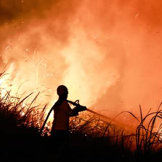 ‘Apocalyptic’ El Niño to unleash extreme weather - The Latest