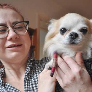 Hjälten i päls – Vimpan visade sig vara diabeteshund: Han visste att något var fel