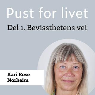Kari Rose Norheim. Del 1. Bevissthetens vei