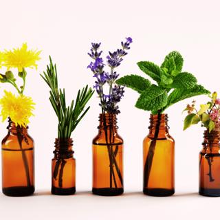 #5 Urtemedisin – hvorfor planter faktisk virker