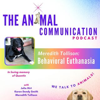 Behavioral Euthanasia