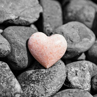 Lotus Sutra, Part 20: Forgiveness as the Heart of Practice