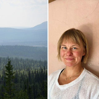 Samebyns konsult slår ifrån sig kritiken rörande FSC: ”Enorm stress och oro”
