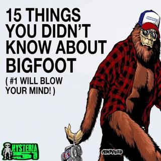 15 Things You Didn't Know About Bigfoot | 238