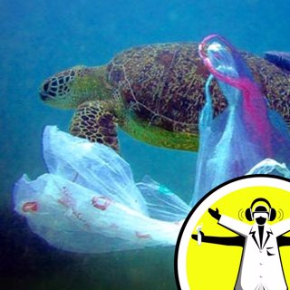 Lifting the lid on Plastic