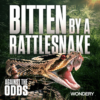 In Their Own Words: Bitten by a Rattlesnake | 1