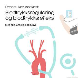 Blodtrykksregulering og blodtrykksrefleks