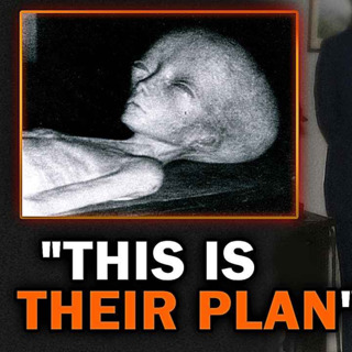 Solved Cold Cases With The Most Insane Twists Ever