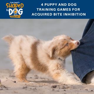 4 Puppy and Dog Training Games for Acquired Bite Inhibition #18