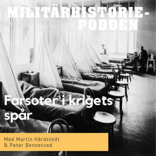 Smittor och farsoter i krigets spår (nymixad repris)