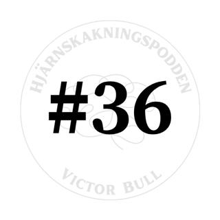 Diskussion (och lite debatt) om hjärnskador inom MMA med Ali Faraj (DEL 1) #36