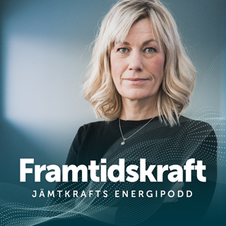 32. Löser taxonomin behovet av hållbara investeringar?