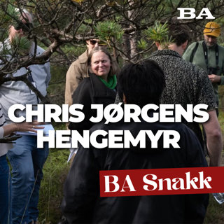 Dagens Næringsliv har ikke peiling, Chris Jørgen Rødlands hengemyr og søk tilflukt i bybanetunnelene