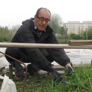 Sista säsongen i trädgården