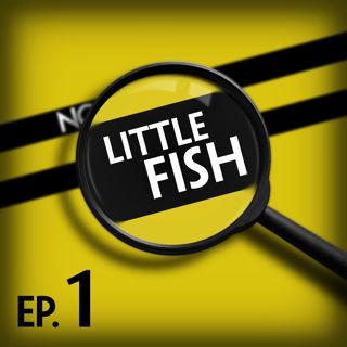 Little Fish: Steam Exploded Donkey Bone Powder