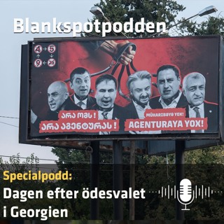 Dagen efter ödesvalet i Georgien
