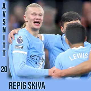 #20 - Repig skiva