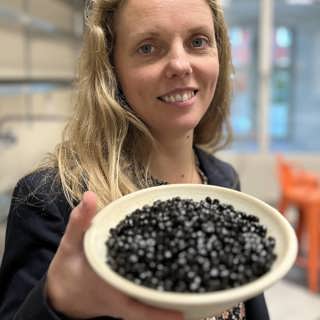 Det nya fodret för odlad fisk – utan fiskmjöl och sojaprotein
