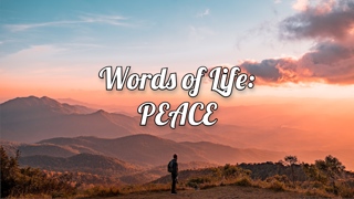 Words of Life: PEACE