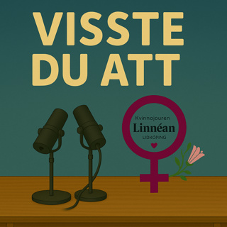 6. Visste du att – våld i nära relation
