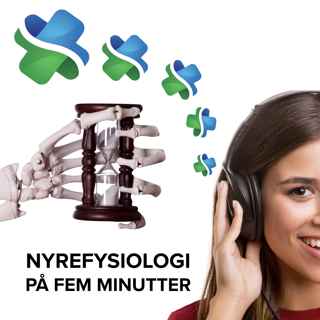 Nyrenes fysiologi på fem minutter