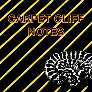 CARPET CLIFF NOTES- #4- THE HISTORY OF THE CITRUS TIGER LINE